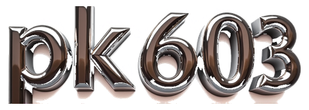 pk603 logo